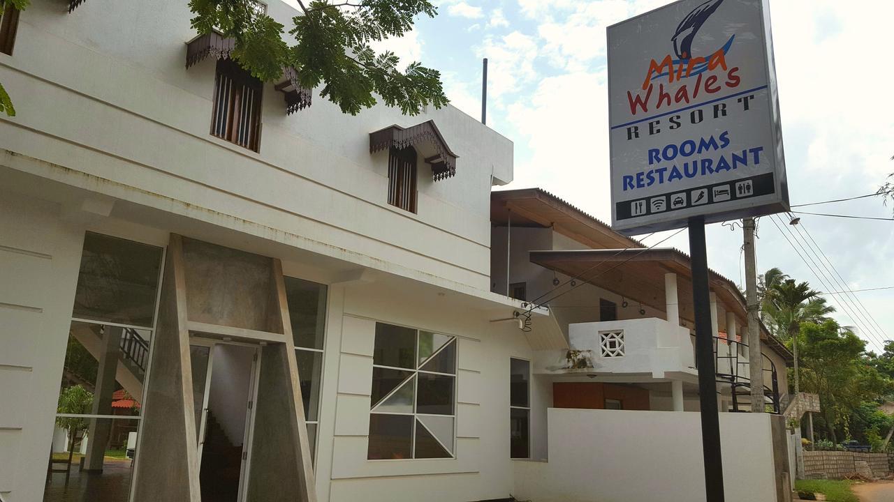 Mira Whales Resort Mirissa Exterior foto